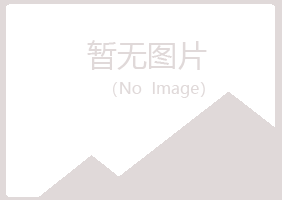 茂港区山柏建筑有限公司